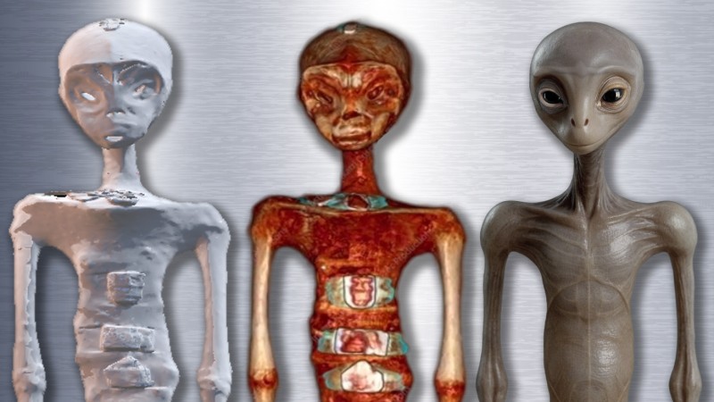 The Tridactyl Enigma: From Debunked Hoax to Anatomical Mystery