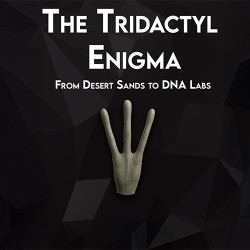 The Tridactyl Enigma